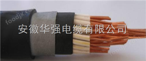 KYJVP2-22 2*2.5铠装电缆
